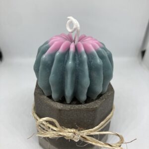 Maceta Bisnaga