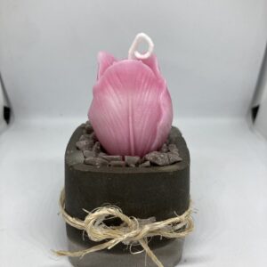 Maceta de Rosa