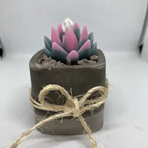 Maceta de Suculenta Agave